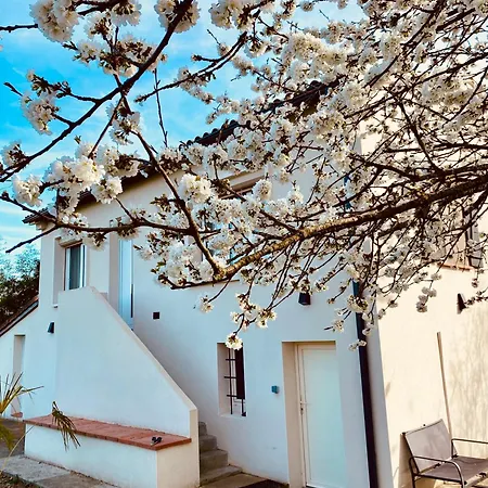 Charmante Maison, Lumineuse. Feriehus Castelnau-dʼEstrétefonds