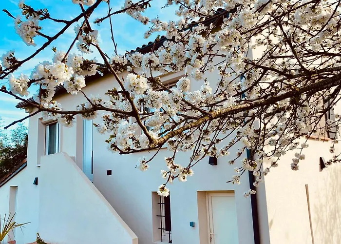 Charmante Maison, Lumineuse. Vakantiehuis Castelnau-dʼEstrétefonds