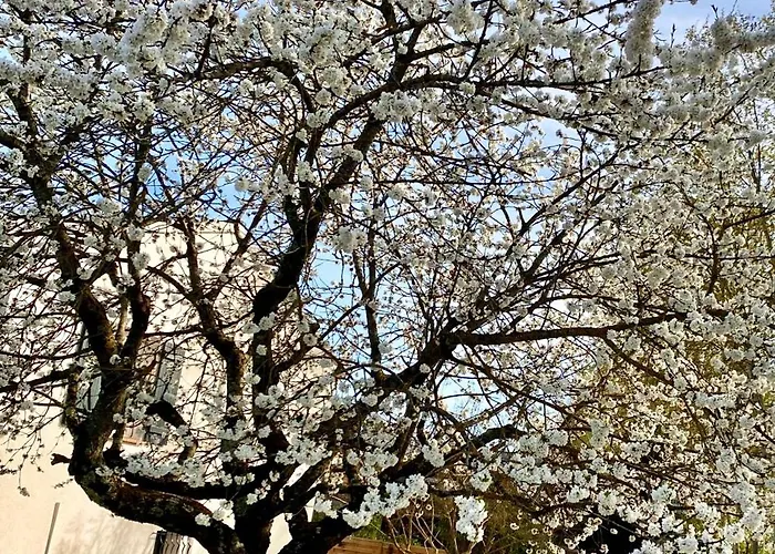 Charmante Maison, Lumineuse. *